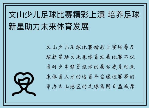 文山少儿足球比赛精彩上演 培养足球新星助力未来体育发展