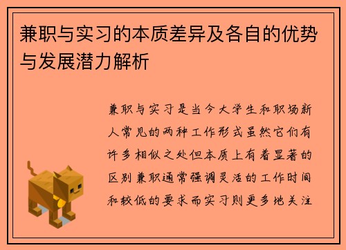兼职与实习的本质差异及各自的优势与发展潜力解析