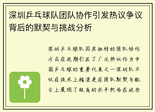 深圳乒乓球队团队协作引发热议争议背后的默契与挑战分析